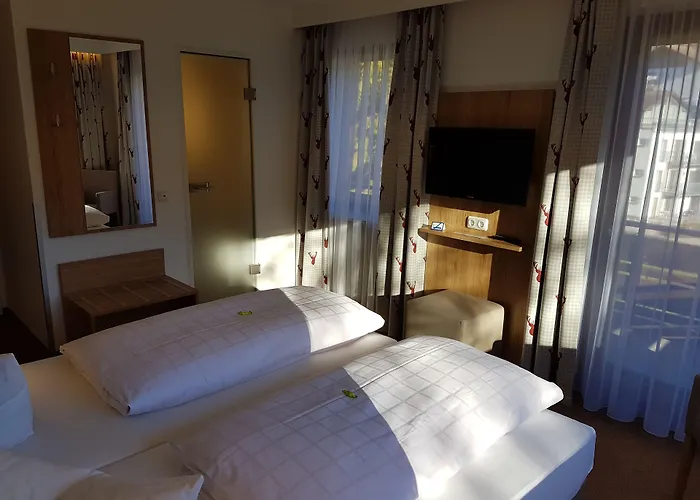 Hotel Ruchti's Hotel&restaurant 3*