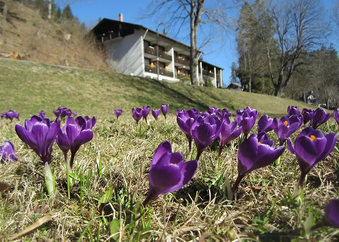 Ruchti's Hotel&restaurant
