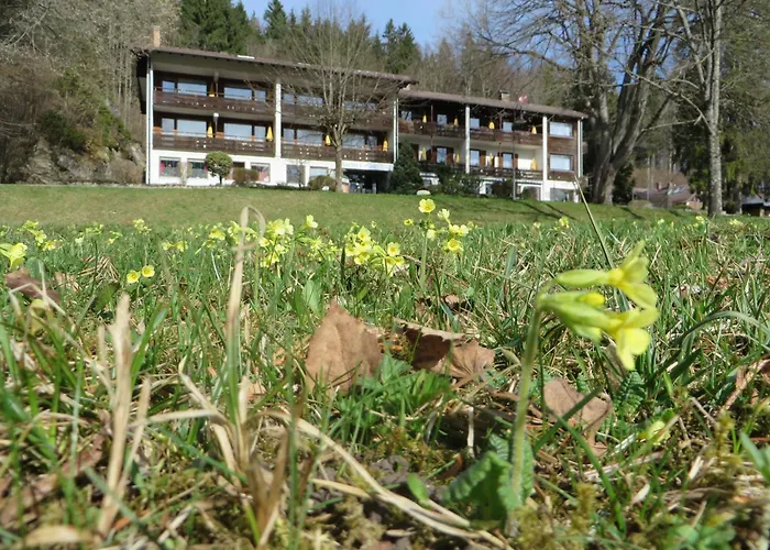 Hotel Ruchti's Hotel&restaurant