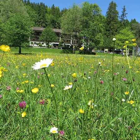 Ruchti - Zeit Für Mich Hotel